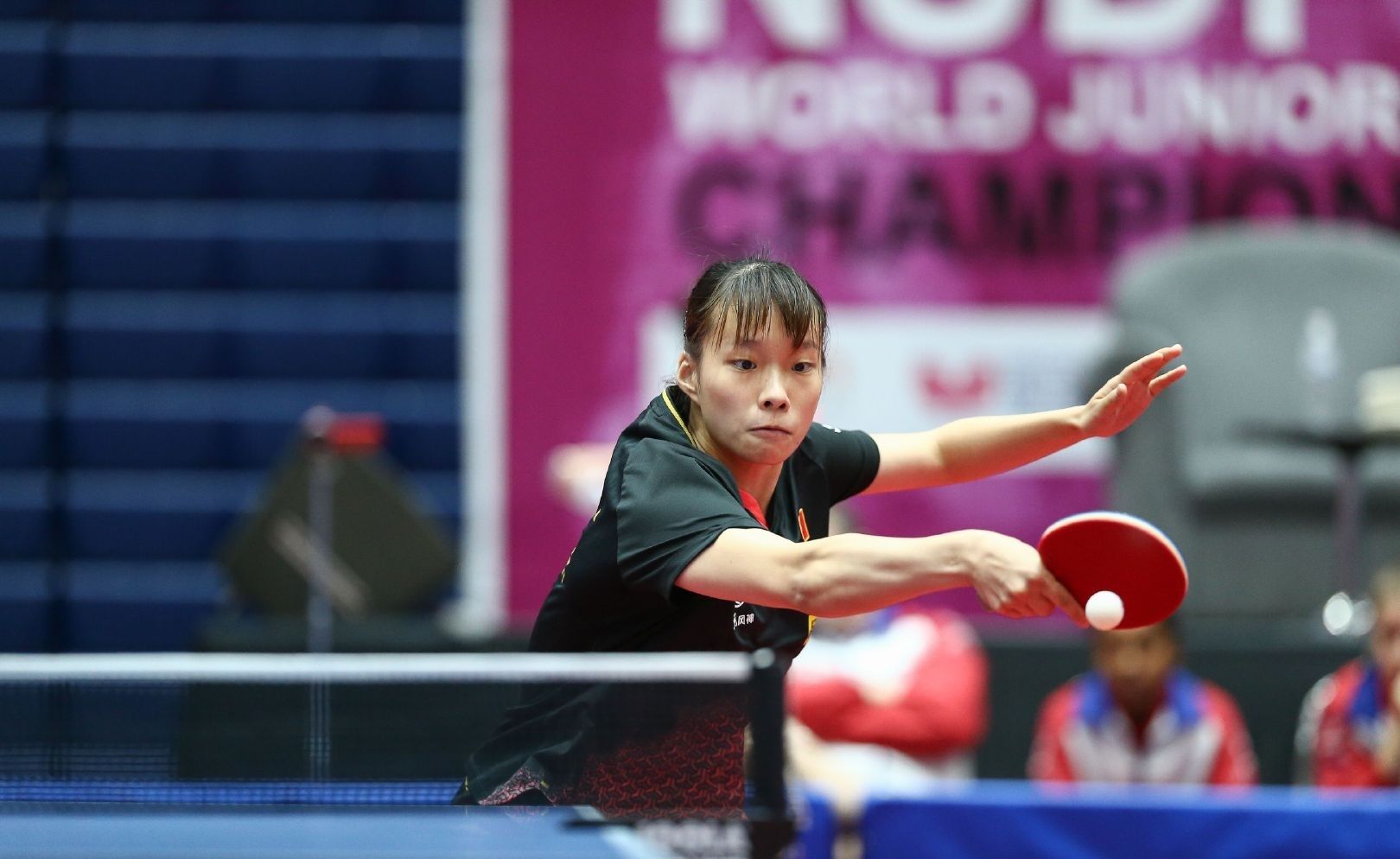 这样的窗口 这样的窗口